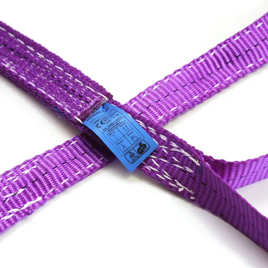 EN1492-1 Flat Polyester Webbing Sling for Heavy Lifting